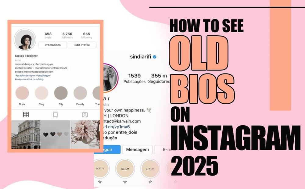 see old bios on instagram